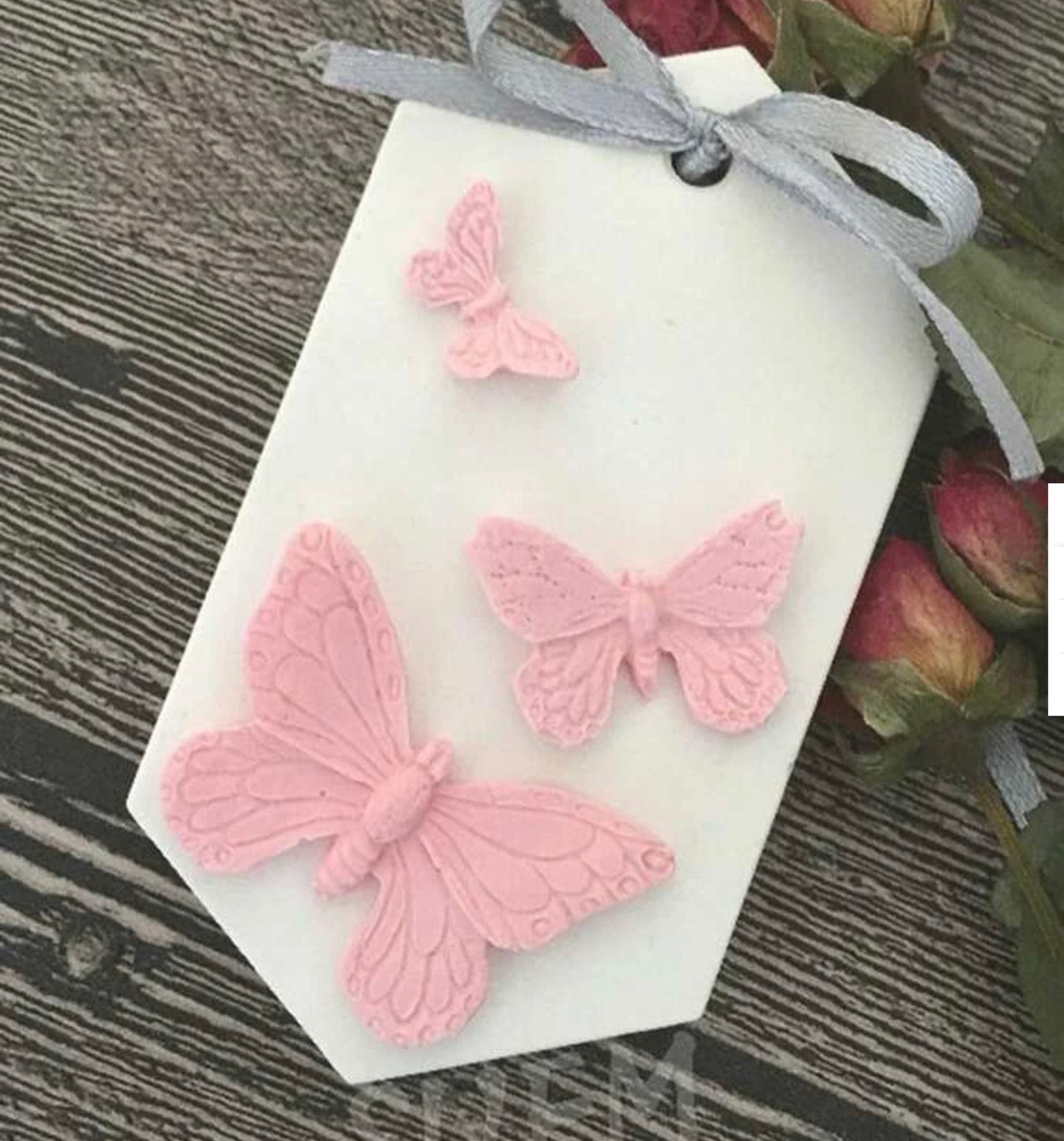 Molde silicon mini mariposas