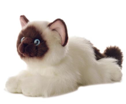 Peluche bella cat 25cm