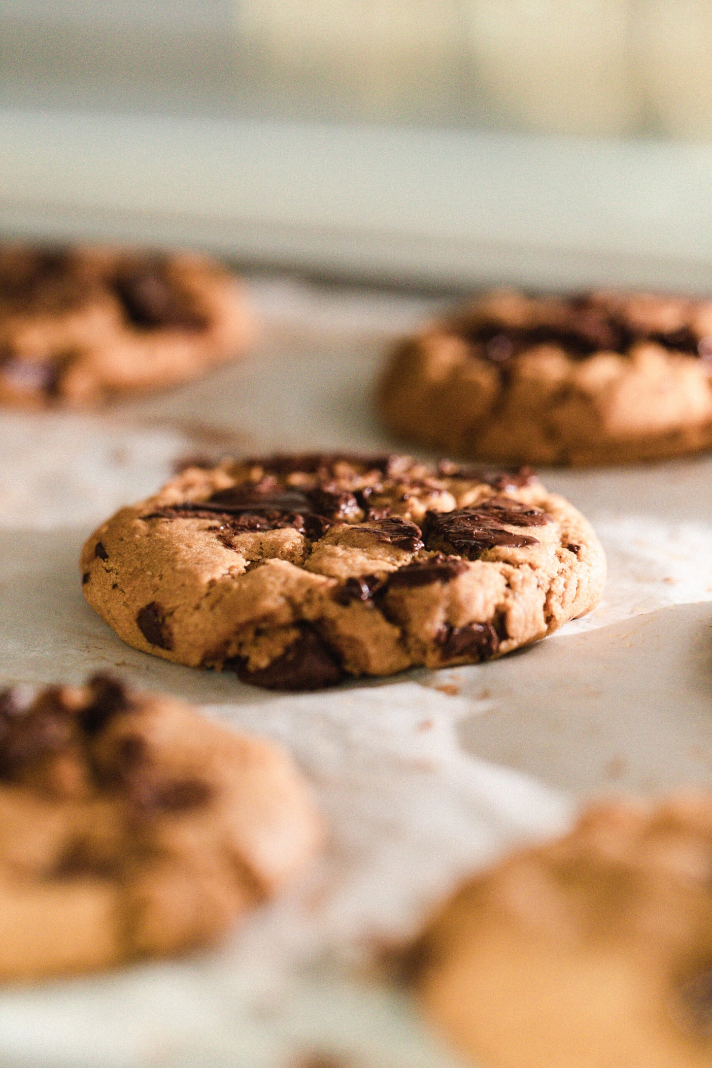 Papel para hornear 5m